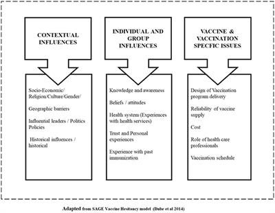 dissertation on immunization